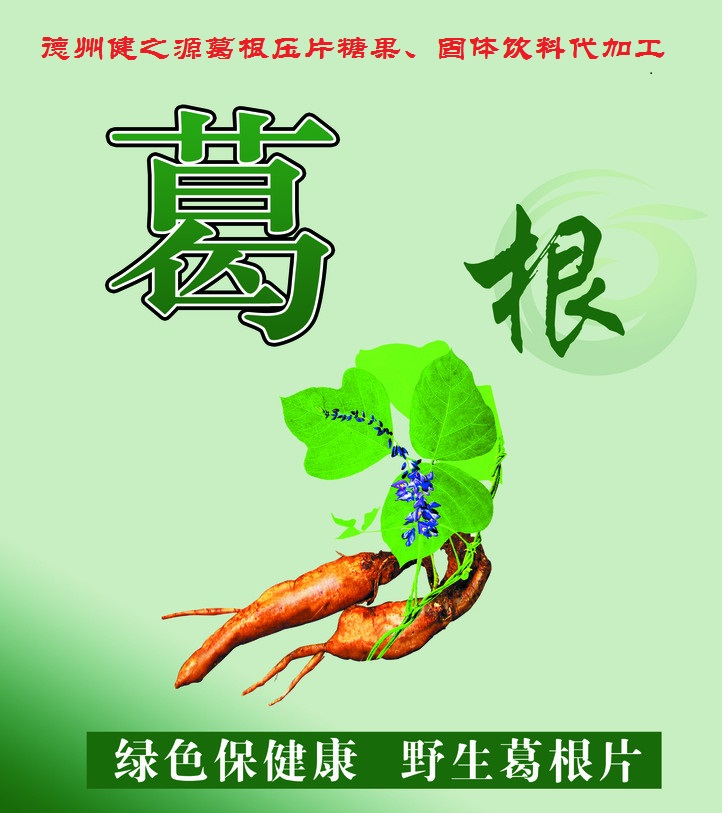 葛根，男女通用的人體調(diào)理專家